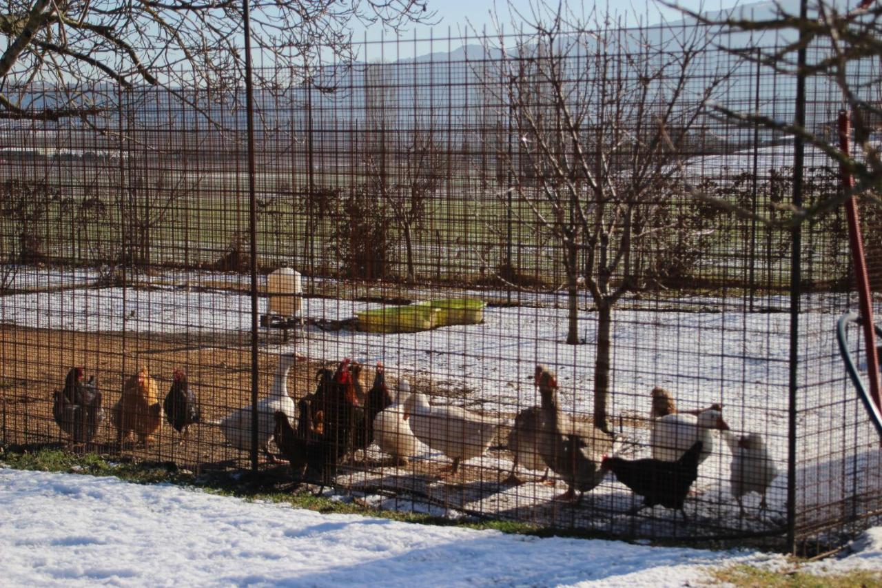 La Campagne Pramaisse Ξενοδοχείο Mane  Εξωτερικό φωτογραφία